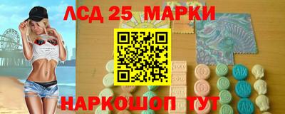 стаф Вязьма