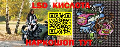 стаф Вязьма