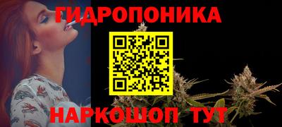 стаф Вязьма