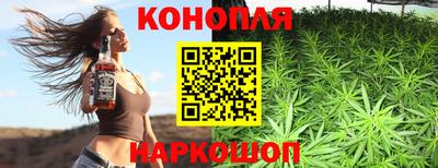 гашик Вышний Волочёк